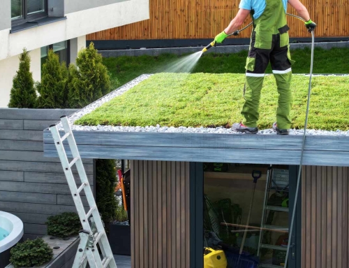 Com preparar la gespa per a l’estiu: guia completa per tenir un jardí verd i saludable 